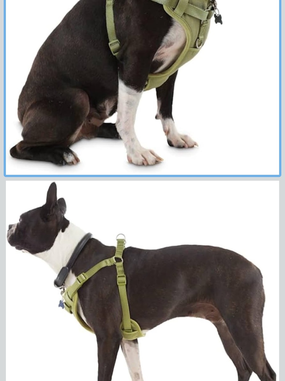 Olive Green Padded Dog Harness with Adjustable Straps